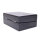 JoeFrex Teebox Buchenholz